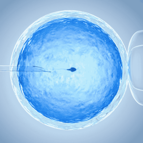 ivf treatment ivf treatment